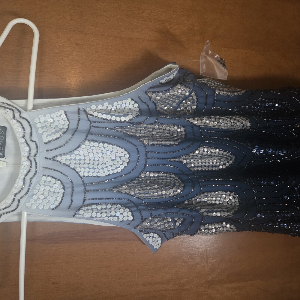 Blue and Silver Sequin Top